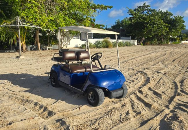 Bobby The Buggy